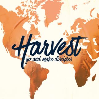 harvest time